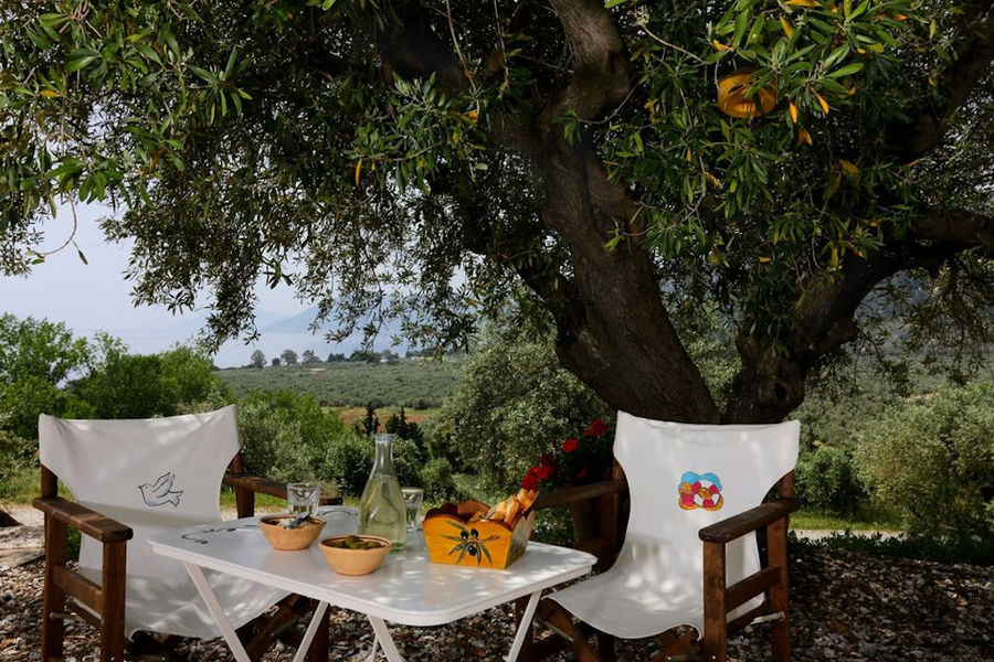 table with producer chairs in the shade of olive tree with foods at 'Eleonas'